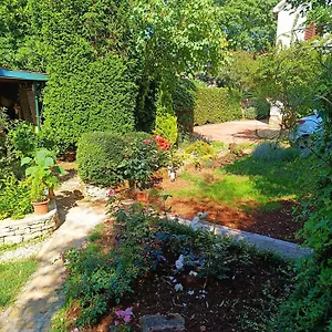 Casetta Olivetta Casa vacanze
